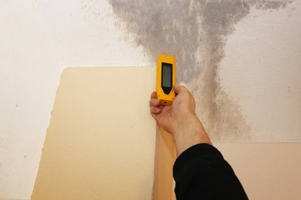 Best Mold Documentation for Insurance Claims  in Sistersville, WV