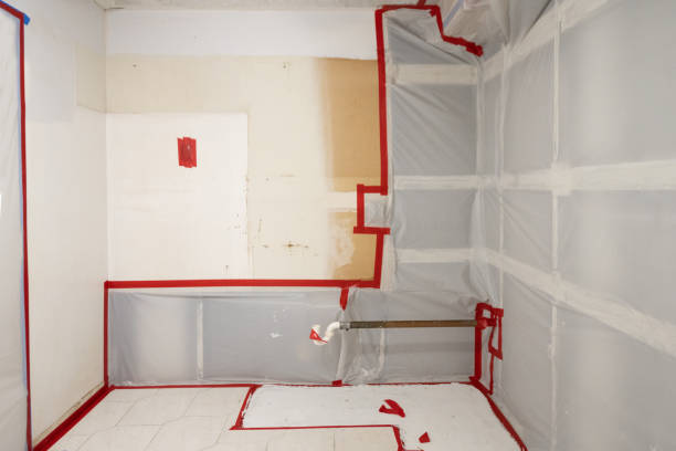 Best Crawl Space Mold Remediation  in Sistersville, WV