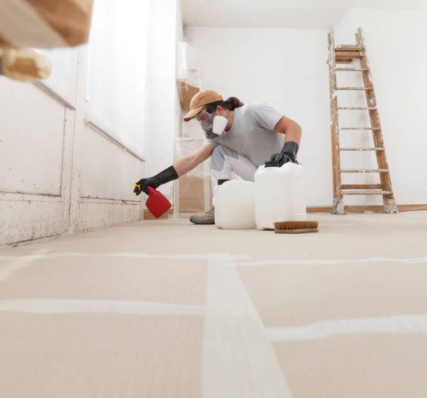 Trusted Sistersville, WV Mold Removal Experts